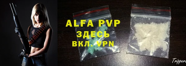 молекула духа Арсеньев