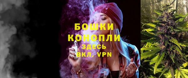 молекула духа Арсеньев