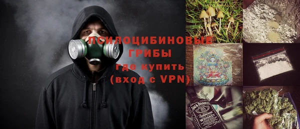 молекула духа Арсеньев