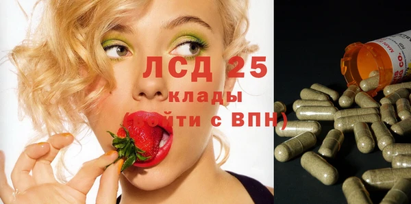 стафф Вязьма